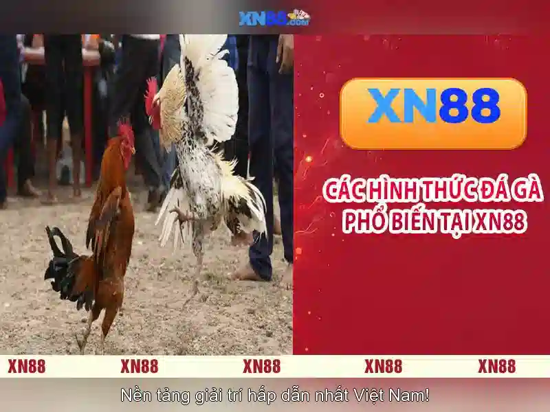 💎bet 888 slot com💎