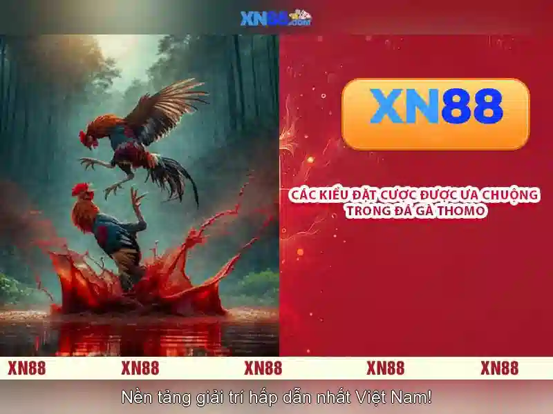 💎boxing extravaganza 888 slot💎