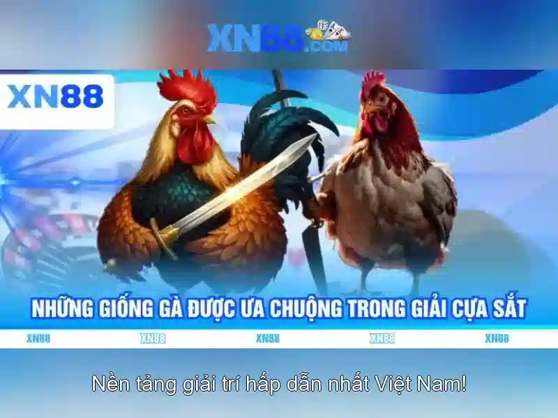 💎top nhà cái uy tín chuyên cá cược💎