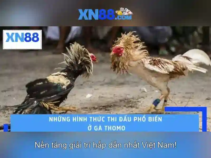 💎nhà cái tặng tiền betasia .top💎