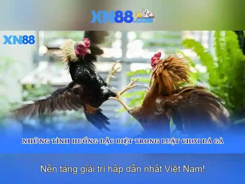 💎bóng đá wap tỷ lệ - keo nha cái💎