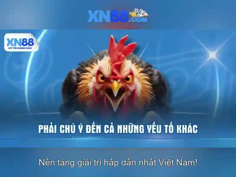 💎mu88 nhà cái uy tín link vào chính thức💎
