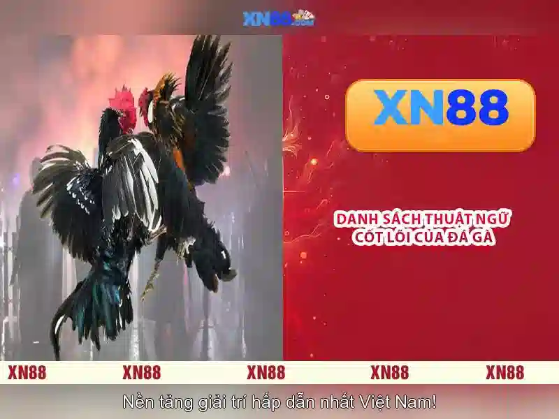 💎10 888slot app download💎