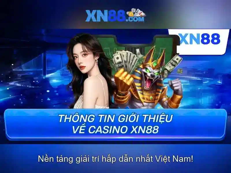 💎kết quả bóng đá nhà cái hôm nay💎