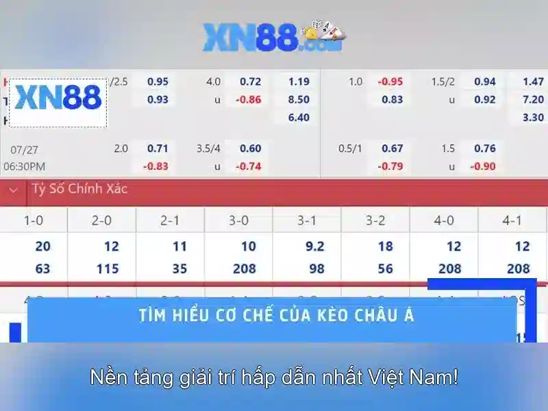💎t i le ca cuoc bong da💎