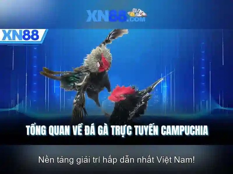 💎trang ca cuoc bong da 165.💎