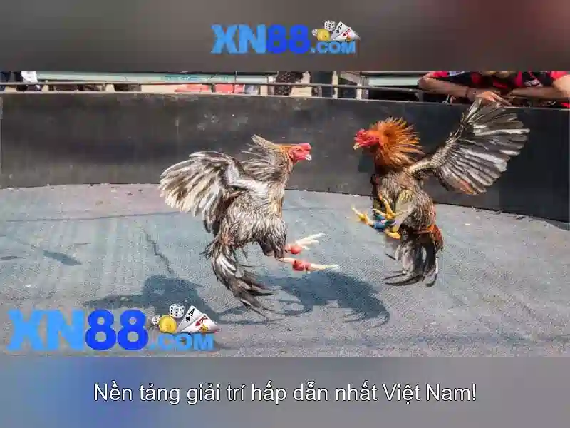 💎demo slot aztec blaze💎