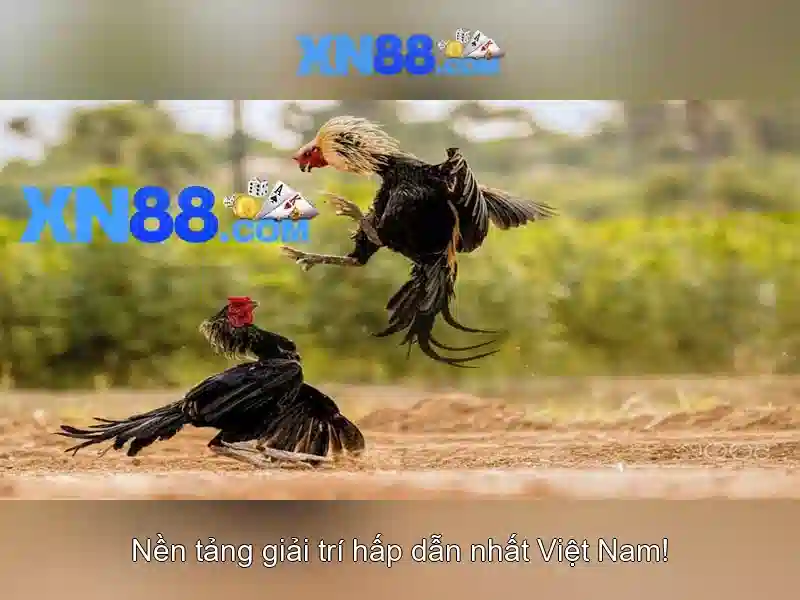 💎samba 888 slot💎