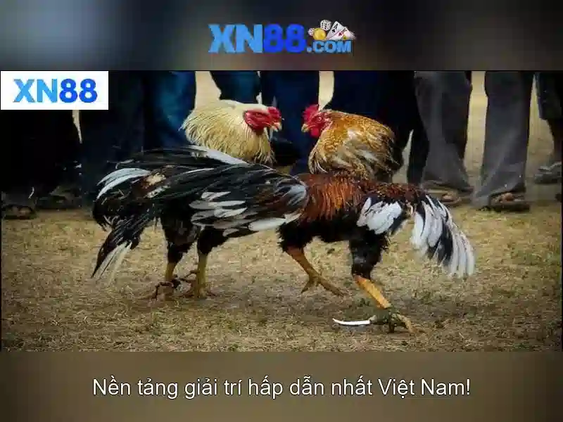 💎888slot cambodia💎