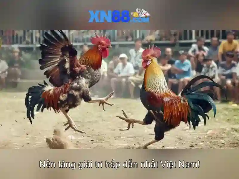 💎cước câu cá nhật bản chính hãng💎