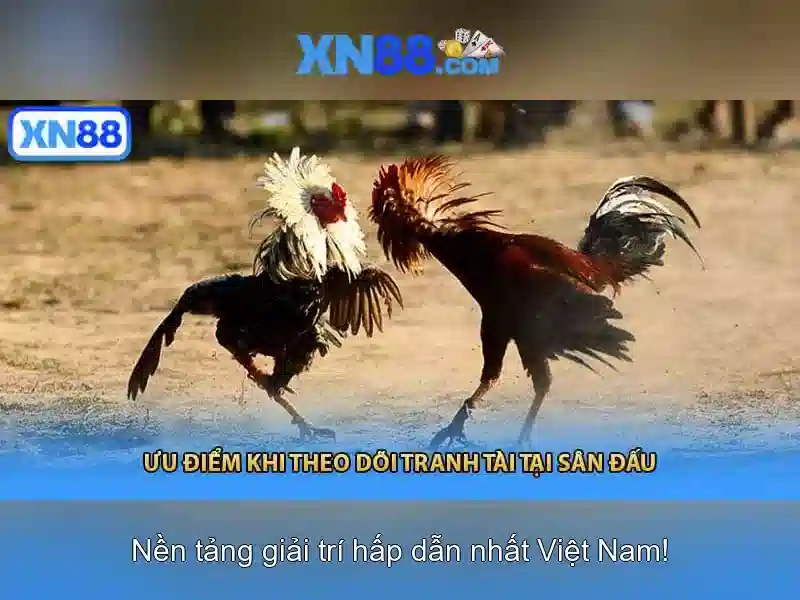 💎s666 sân chơi cá cược s66💎