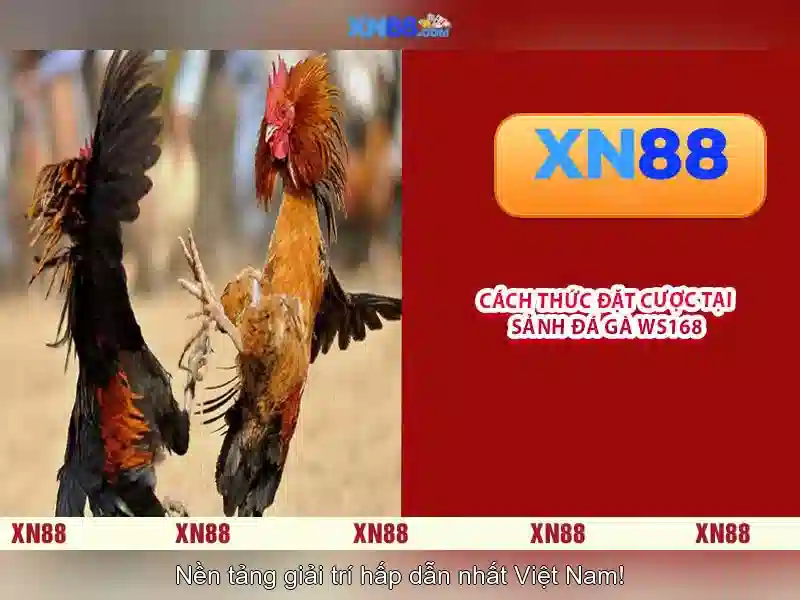 💎90 888slot app💎