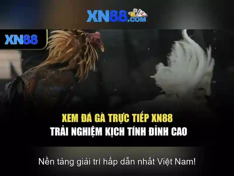💎biến đọng kèo nhà cái💎