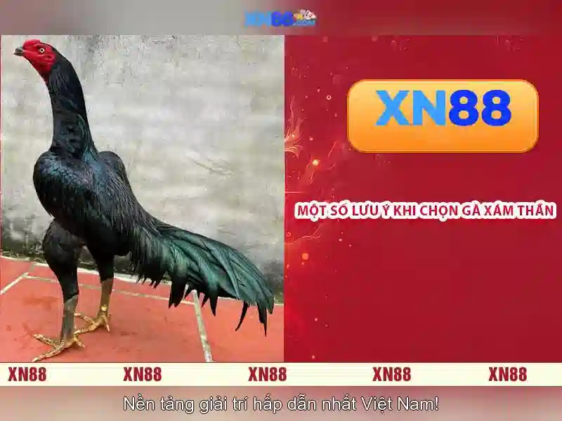 💎888 slot ios download💎