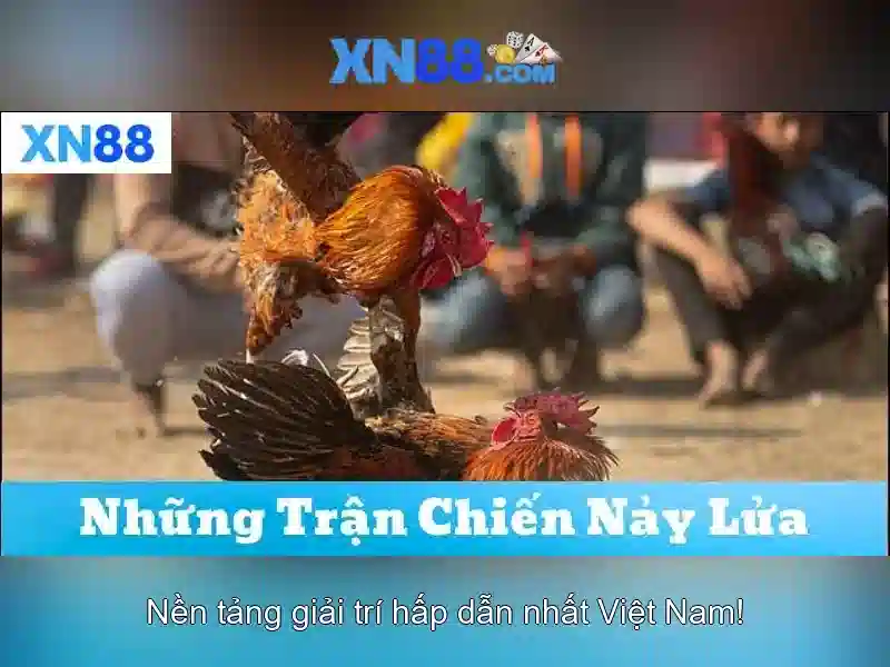 💎xn88 slot online💎