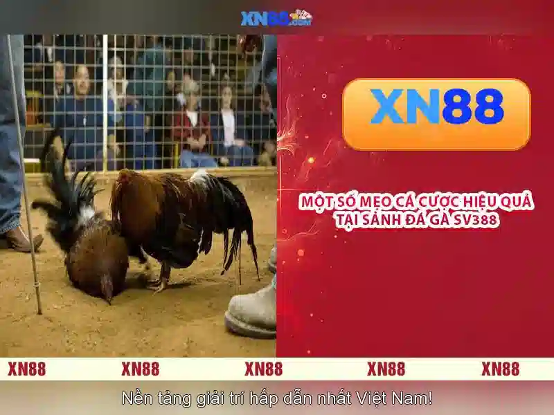 💎hippodrome online slots💎