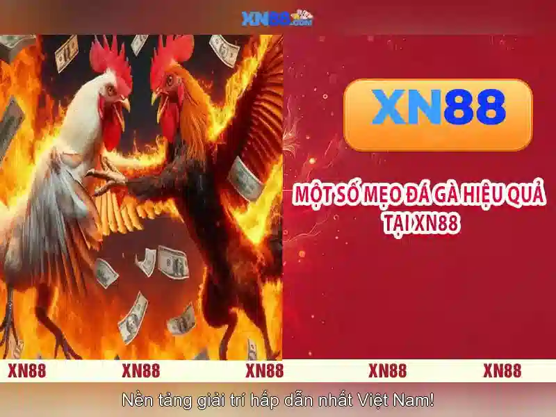 💎nha cai tang tiên💎