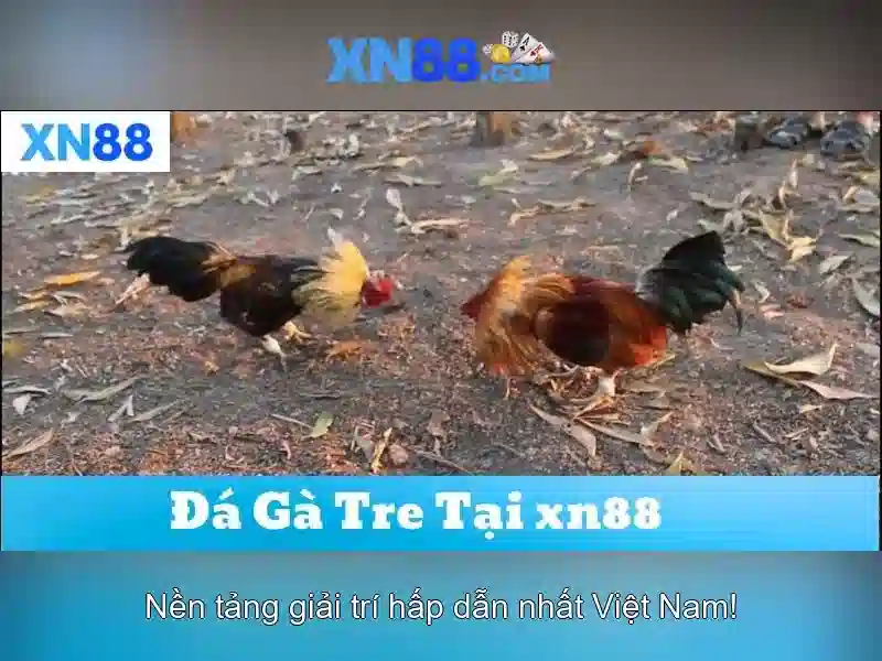 💎extra large mail slots for doors💎