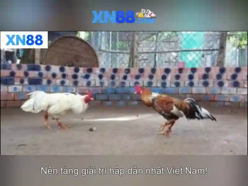 💎hình ảnh của 888 slot💎