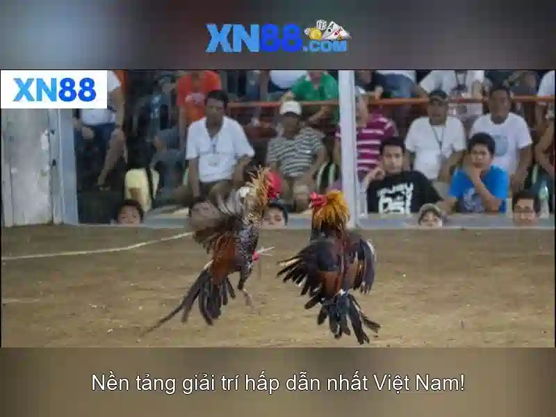 💎66b concord st wilmington ma💎 - đăng nhập 66b - 66b nguyễn chí sách