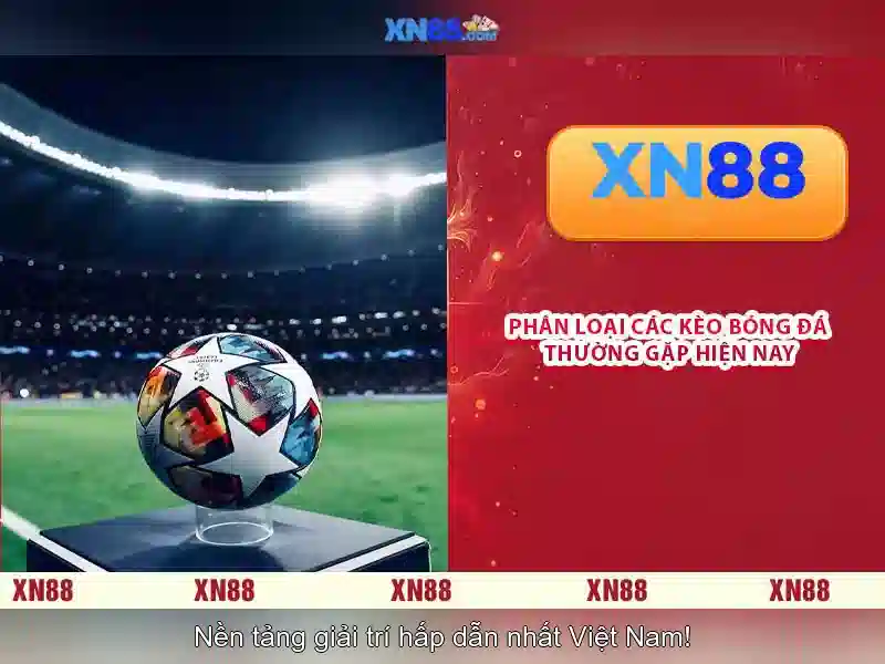 💎cuộc chiến cầu cá💎