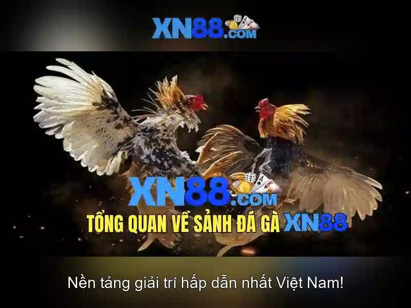 XN88 App – Cơ Hội Làm Giàu Nhanh Cùng Nhiều Hình Thức Slot - XN88