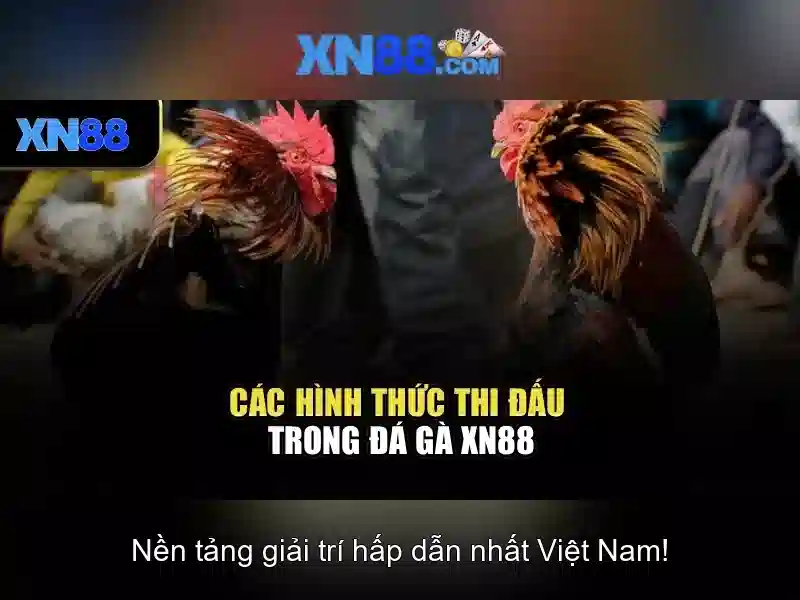 💎xn88 super ace app download for android💎