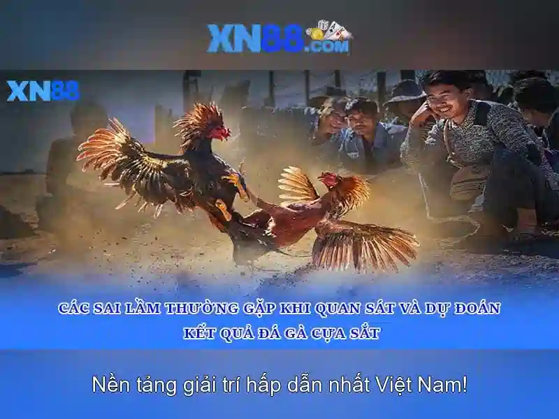💎bài đánh giá về đại học bắc kinh💎
